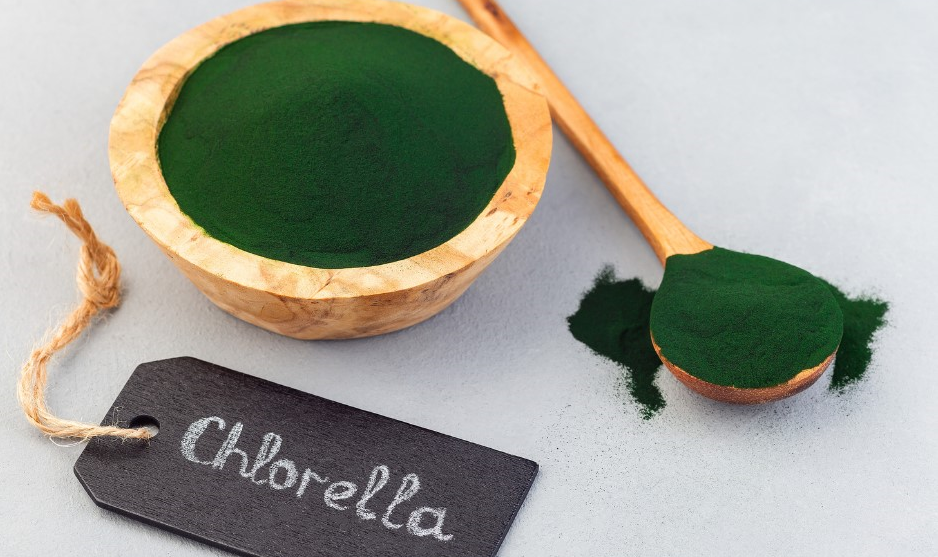 chlorella probiosan
